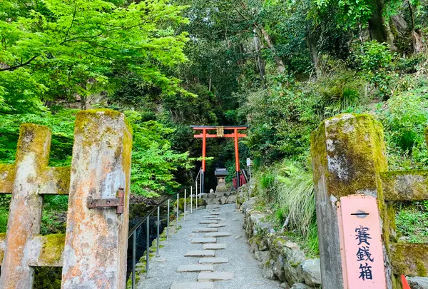 松尾大社の写真・動画_image_356453