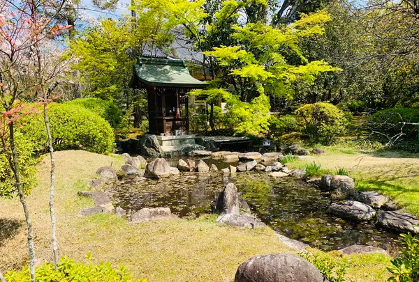 広隆寺の写真・動画_image_356486