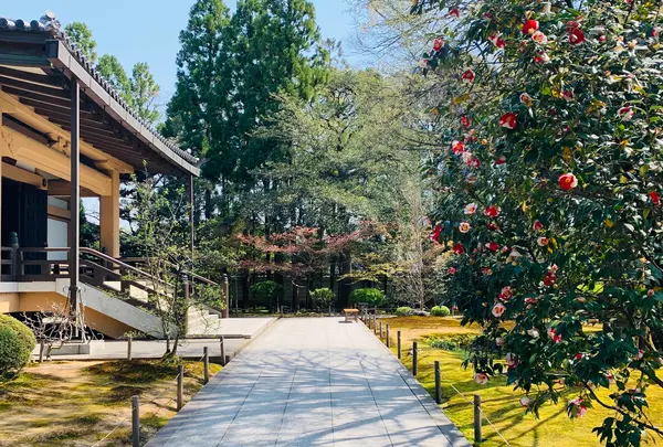 広隆寺の写真・動画_image_356488