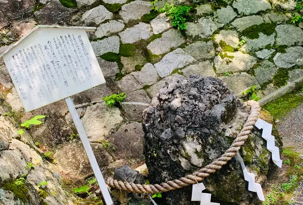 吉田神社の写真・動画_image_358513