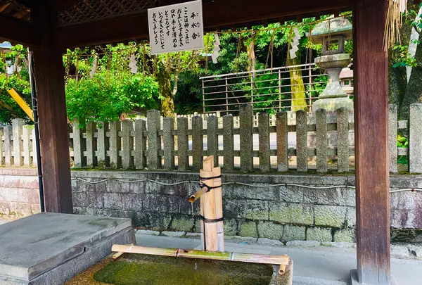 吉田神社の写真・動画_image_358515