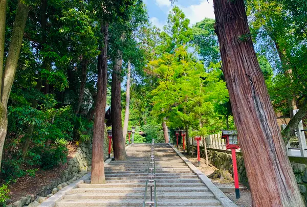 吉田神社の写真・動画_image_358517