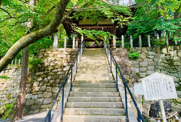 吉田神社の写真・動画_image_358519