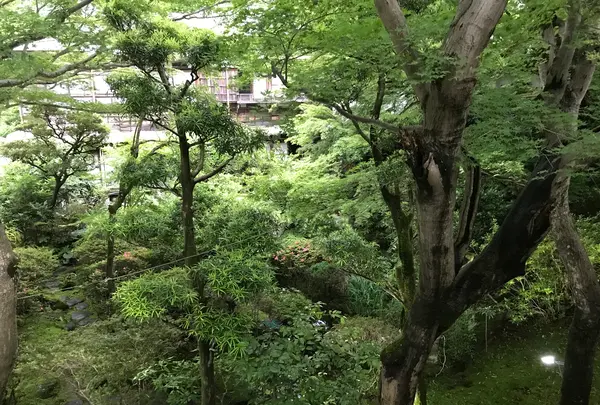 奥湯河原温泉 青巒荘（せいらんそう）の写真・動画_image_359432