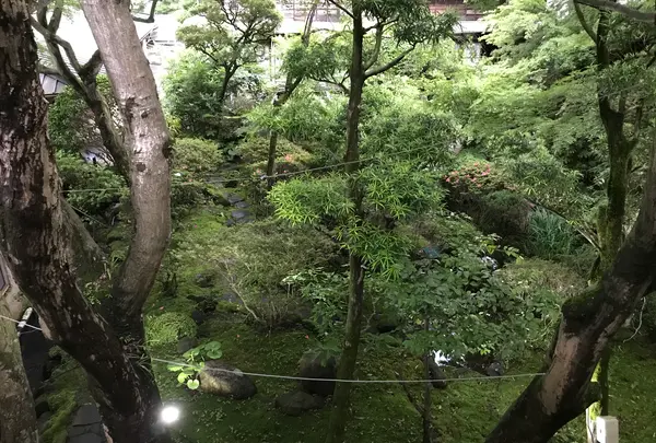 奥湯河原温泉 青巒荘（せいらんそう）の写真・動画_image_359433