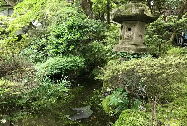 奥湯河原温泉 青巒荘（せいらんそう）の写真・動画_image_359638