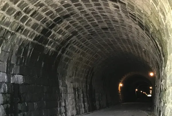 旧天城トンネルの写真・動画_image_361335
