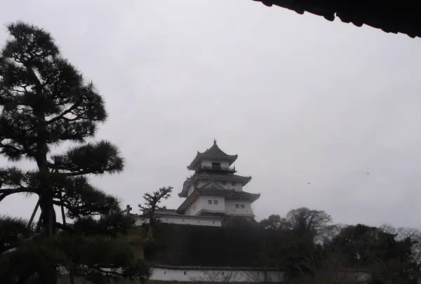 掛川城 二の丸御殿の写真・動画_image_367212