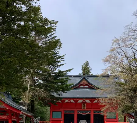 赤城神社の写真・動画_image_367698