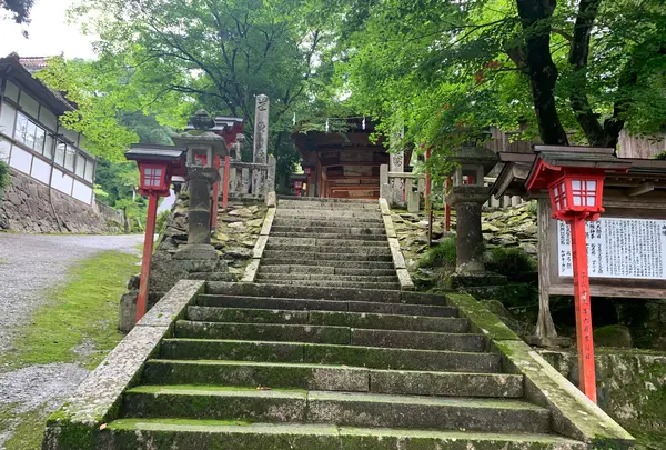 須佐神社の写真・動画_image_371892