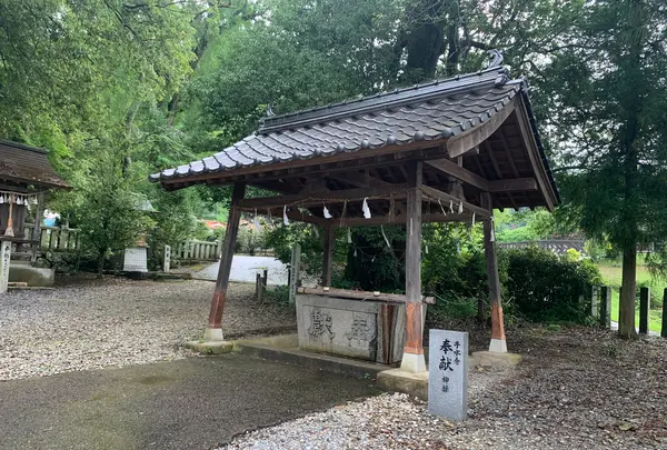 熊野神社の写真・動画_image_372009