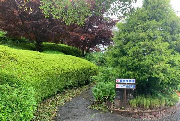 湧永満之記念庭園の写真・動画_image_372066