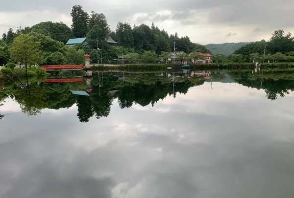 上野池の写真・動画_image_372647