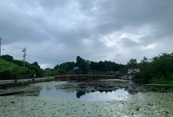 上野池の写真・動画_image_372652