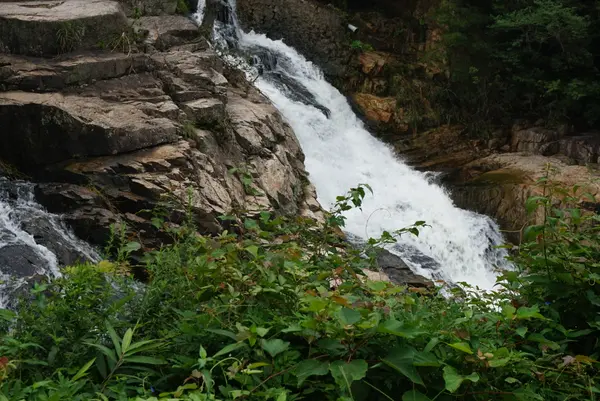 吾妻子の滝の写真・動画_image_372885