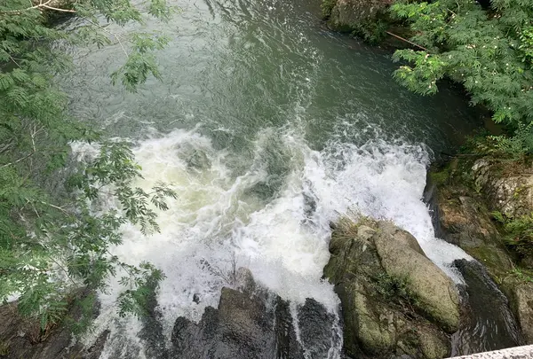 武士の滝の写真・動画_image_372901