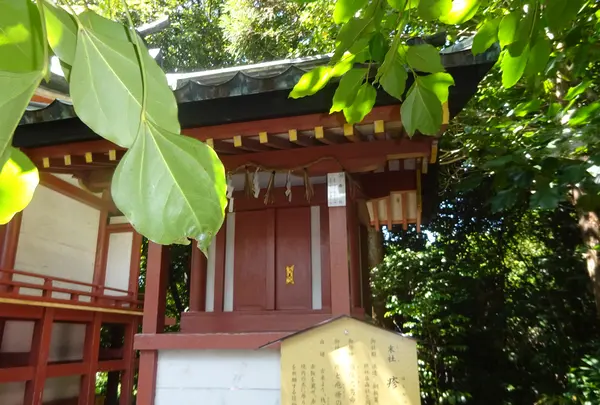 津島神社の写真・動画_image_372919