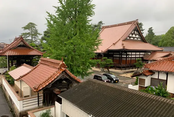 教善寺の写真・動画_image_373888