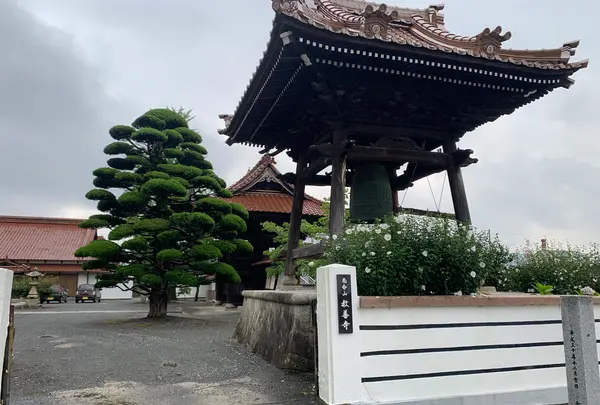 教善寺の写真・動画_image_373889
