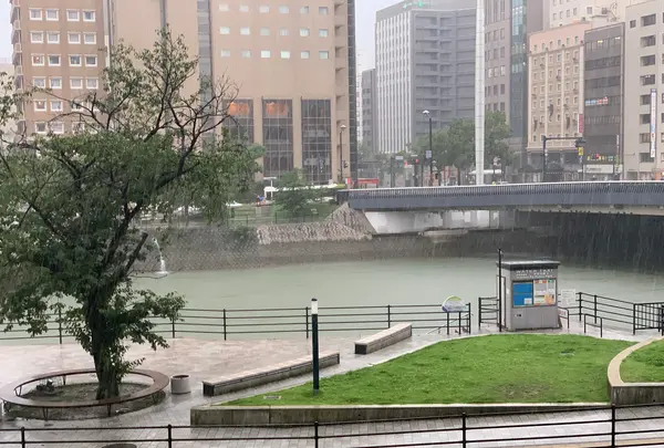 川の水上タクシー「雁木タクシー」の写真・動画_image_374944