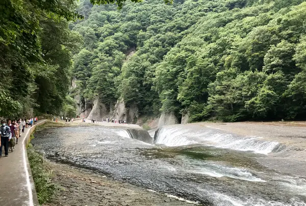 吹割の滝の写真・動画_image_375240