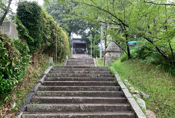 朝日八幡神社の写真・動画_image_375561