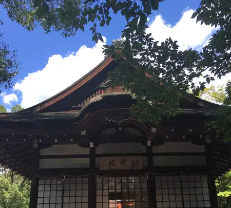 宇治神社の写真・動画_image_375942