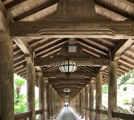 長谷寺の写真・動画_image_377974