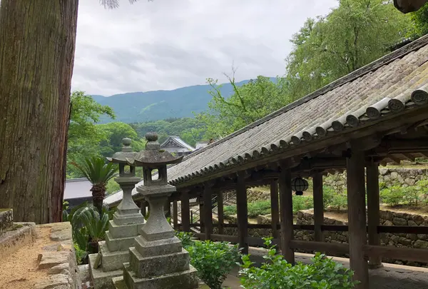 長谷寺の写真・動画_image_377975