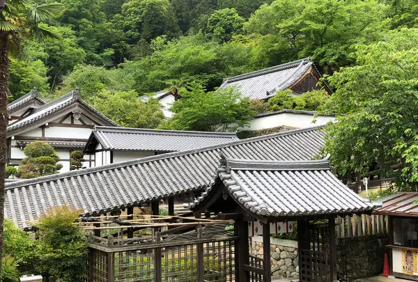 長谷寺の写真・動画_image_377976