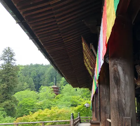 長谷寺の写真・動画_image_377977