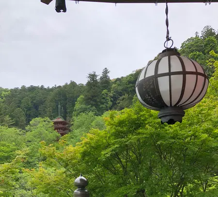 長谷寺の写真・動画_image_377978