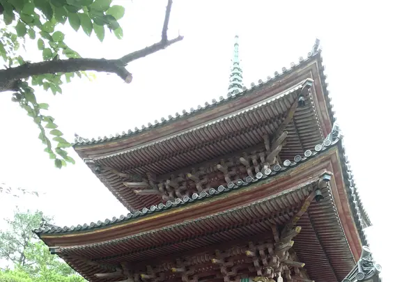 向上寺の写真・動画_image_381622