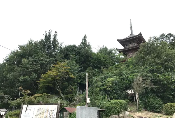 向上寺の写真・動画_image_381633