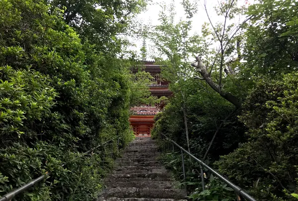 向上寺の写真・動画_image_381634