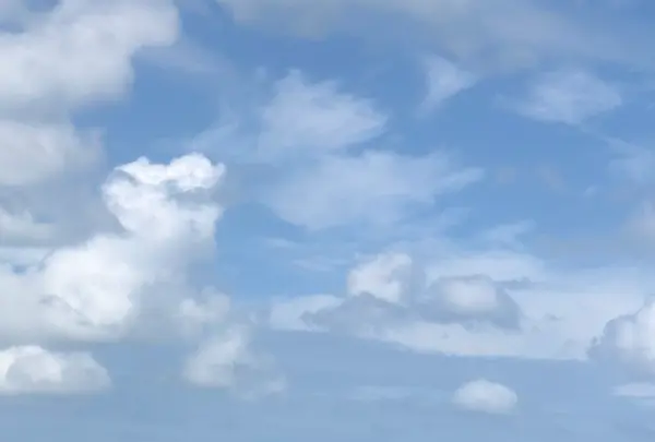 玉取崎展望台の写真・動画_image_382676