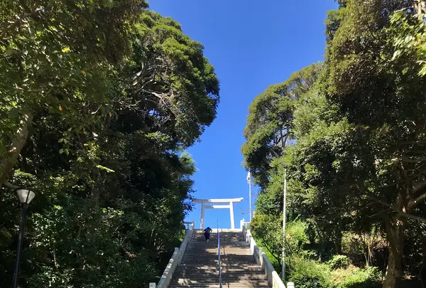 大洗磯前神社の写真・動画_image_383133