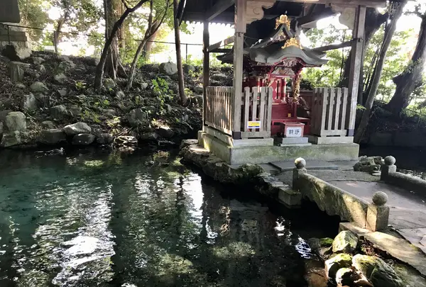 泉神社の写真・動画_image_384657