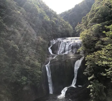 袋田の滝の写真・動画_image_388163