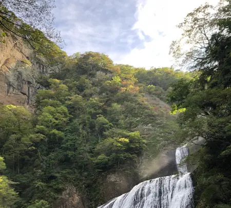 袋田の滝の写真・動画_image_388164
