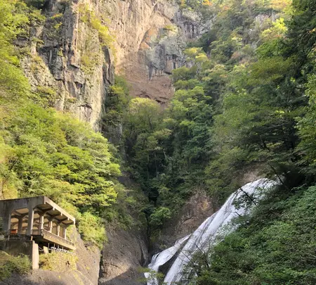 袋田の滝の写真・動画_image_388165