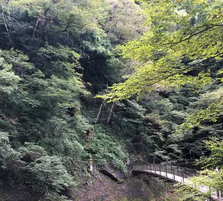袋田の滝の写真・動画_image_388166