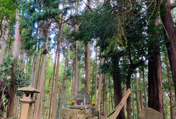 愛宕神社(旧白雲寺)の写真・動画_image_388789