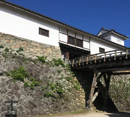 彦根城の写真・動画_image_390638