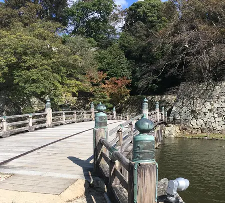 彦根城の写真・動画_image_390641