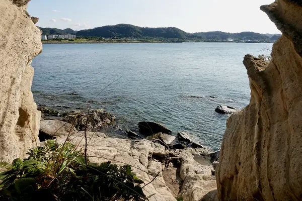 沖ノ島公園の写真・動画_image_391766