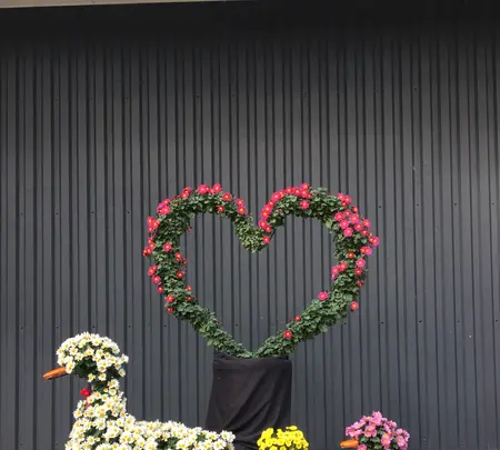 神奈川県立花と緑のふれあいセンター 花菜ガーデンの写真・動画_image_391868