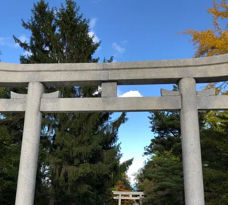 住吉神社の写真・動画_image_393766