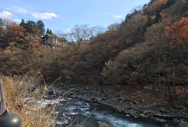 神橋の写真・動画_image_396045