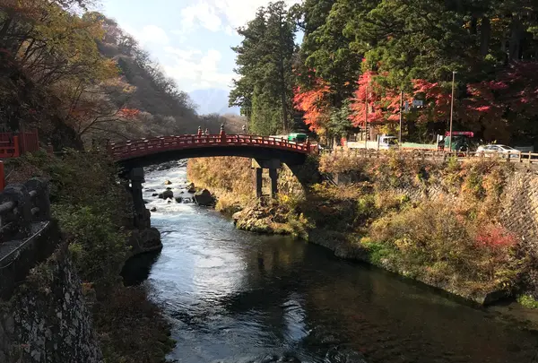 神橋の写真・動画_image_396054